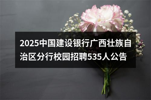 2025中国建设银行广西壮族自治区分行校园招聘535人公告 图片