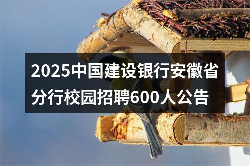 2025中国建设银行安徽省分行校园招聘600人公告 图片