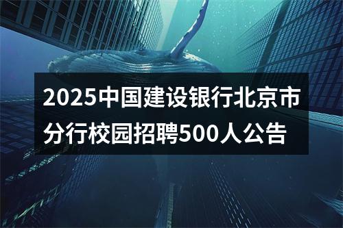 2025中国建设银行北京市分行校园招聘500人公告 图片