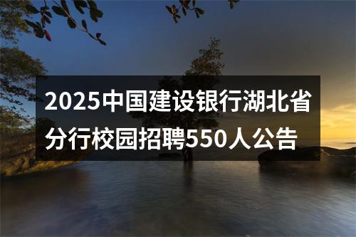 2025中国建设银行湖北省分行校园招聘550人公告 图片