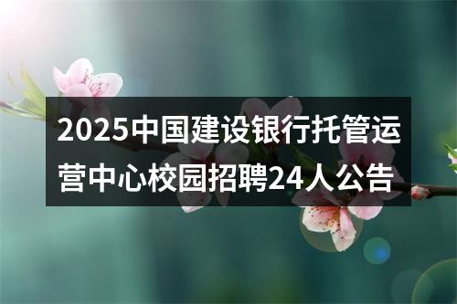 2025中国建设银行托管运营中心校园招聘24人公告 图片