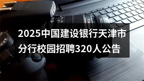 2025中国建设银行天津市分行校园招聘320人公告 图片