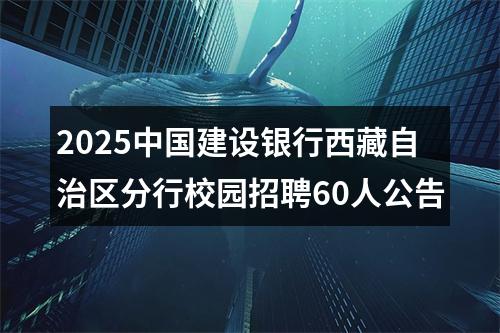 2025中国建设银行西藏自治区分行校园招聘60人公告 图片