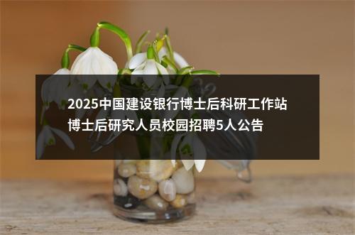2025中国建设银行博士后科研工作站博士后研究人员校园招聘5人公告 图片