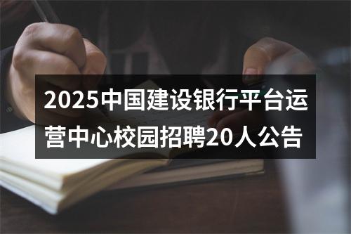 2025中国建设银行平台运营中心校园招聘20人公告 图片