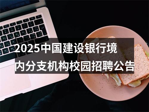 2025中国建设银行境内分支机构校园招聘公告 图片