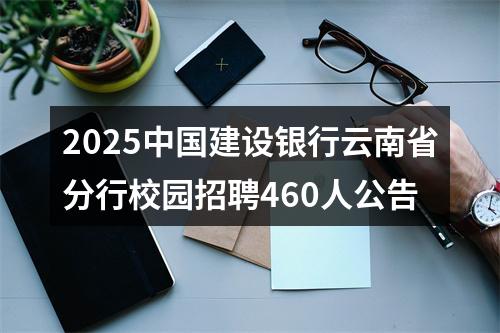 2025中国建设银行云南省分行校园招聘460人公告 图片