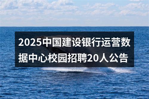 2025中国建设银行运营数据中心校园招聘20人公告 图片