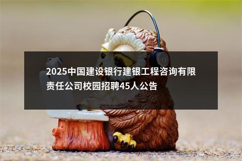 2025中国建设银行建银工程咨询有限责任公司校园招聘45人公告 图片
