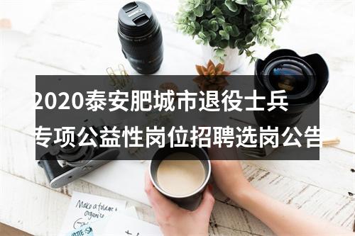 2020泰安肥城市退役士兵专项公益性岗位招聘选岗公告 图片