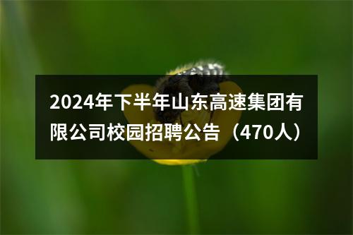 2024年下半年山东高速集团有限公司校园招聘公告（470人） 图片