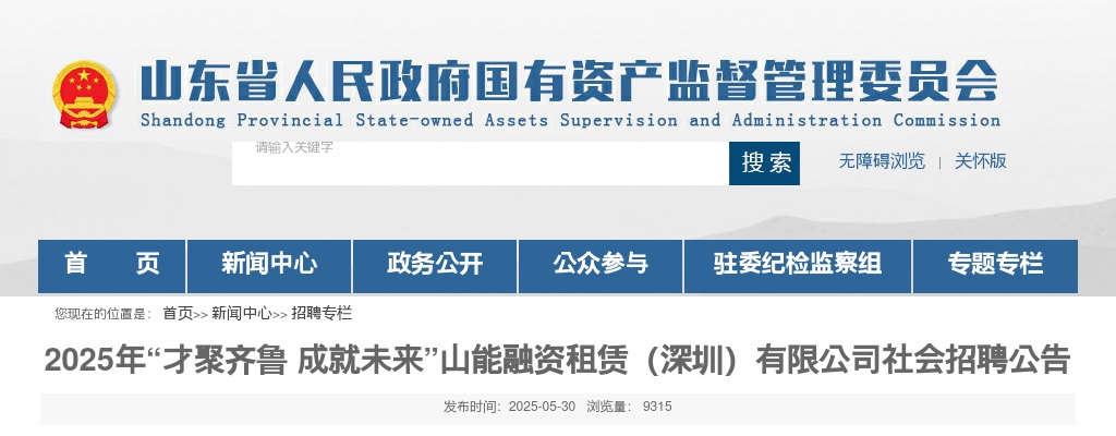 2025年山能融资租赁（深圳）有限公司社会招聘公告（2人） 图片
