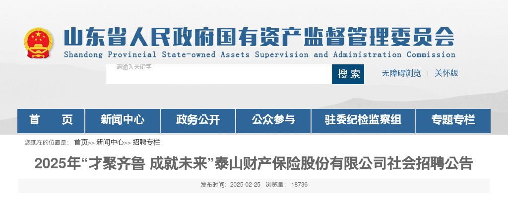 2025年泰山财产保险股份有限公司社会招聘公告 图片